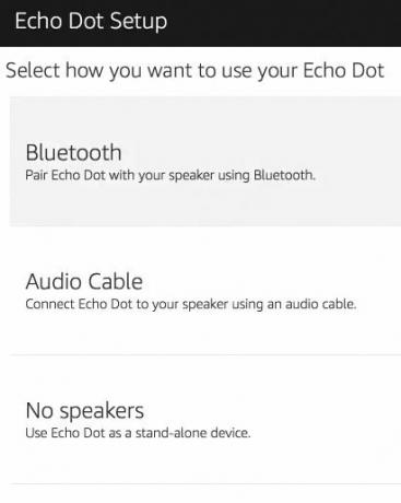 Kuinka asettaa ja käyttää Amazon Echo Dot 06 Echo Dot -äänenvaihtoehtoja