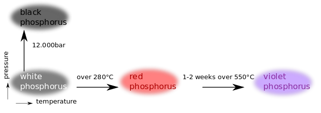 Fosforia Allotropes.svg