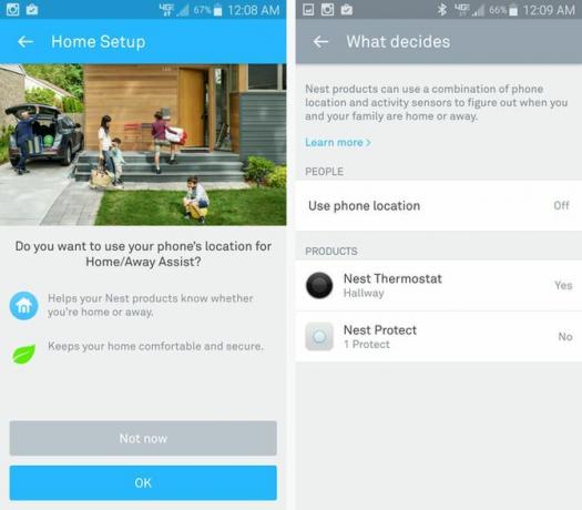 Nest Smart Termostaatin automaattisen poistotoiminnon asetukset