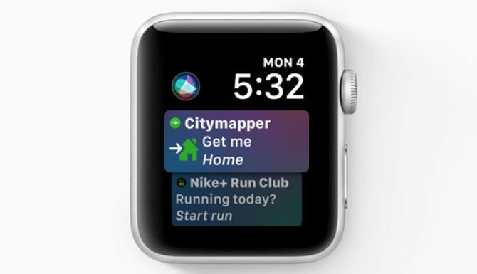 watchOS 5 Siri Face