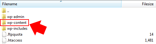 Wp-content