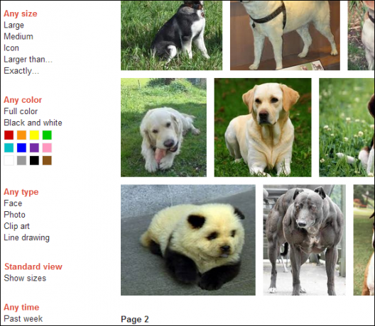bing vs google -haku