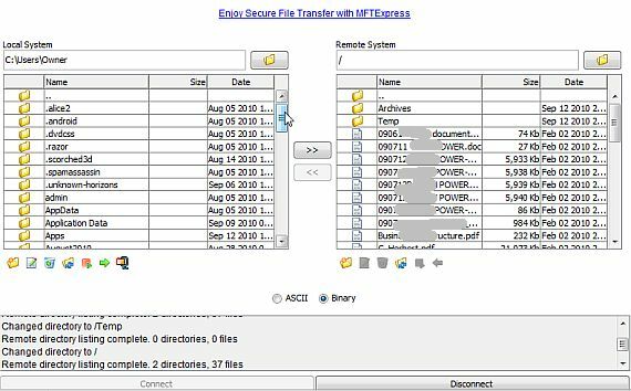 online ftp asiakas ilmainen