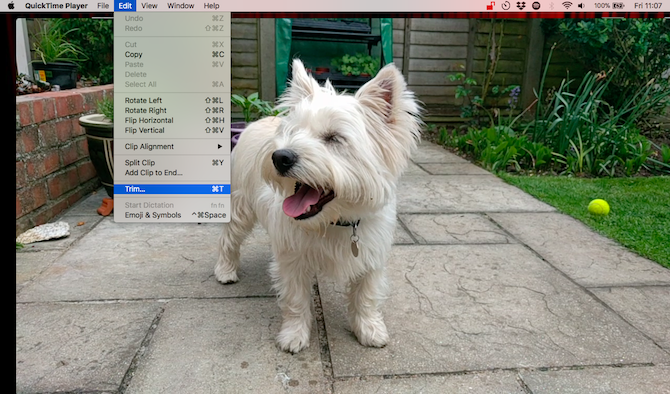 Videon muokkaaminen Quicktime Player -sovelluksessa Macilla
