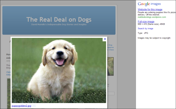 bing vs. google-kuva