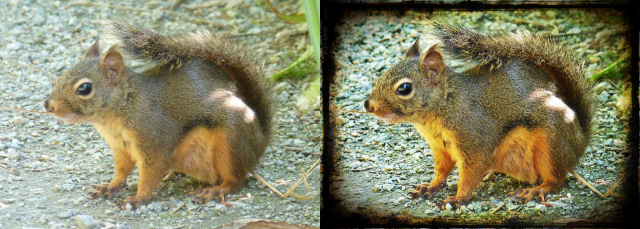 Orava ennen jälkeen