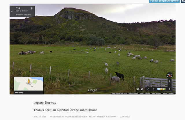 google-lammas-view