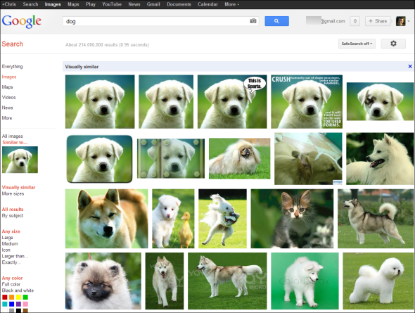 bing vs google -haku