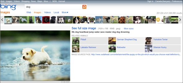bing vs. google-kuva