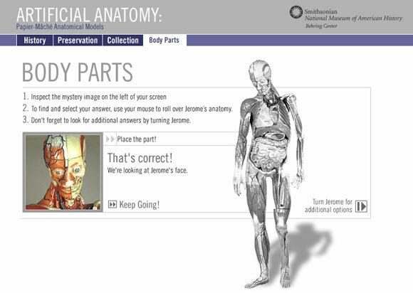 interaktiivinen anatomia