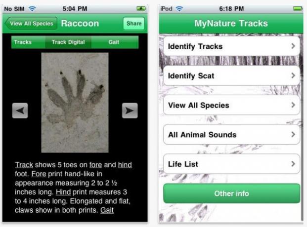 mynature animal tracks