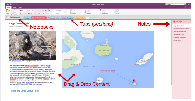 OneNote-organisaation esimerkki-näyttökuva