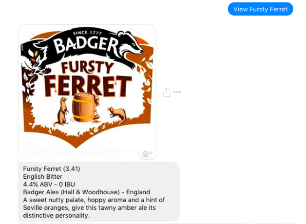 facebook messenger bot olutbotti