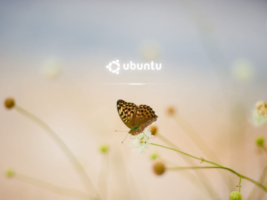 muuta linux käynnistysnäyttö
