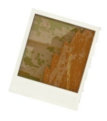 polaroid kuvat
